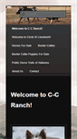Mobile Screenshot of c-cranch.com